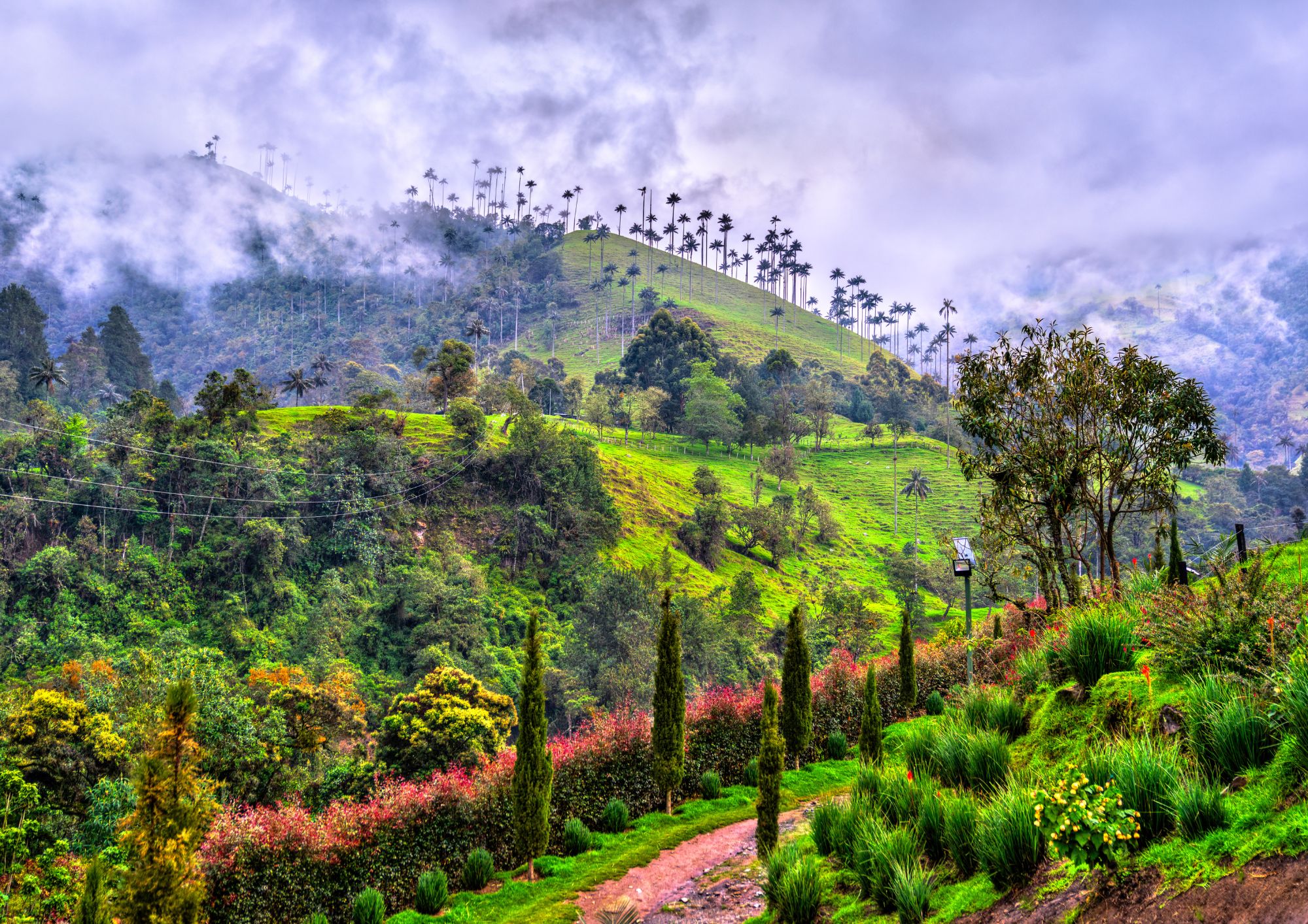טיול בקולומביה