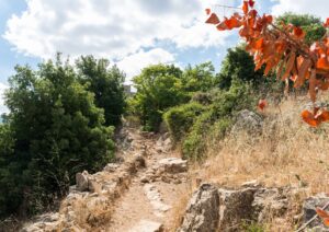 שמורות טבע בצפון