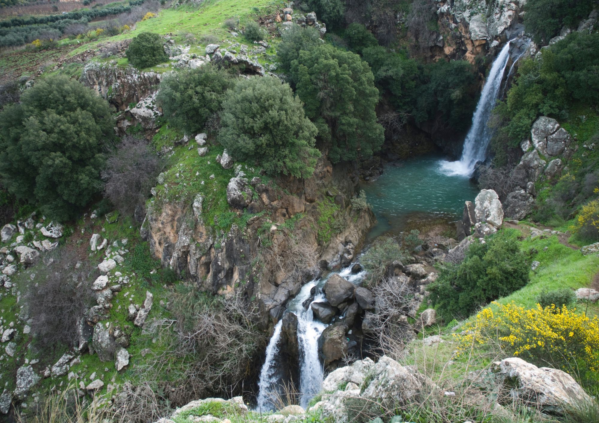 שמורות טבע בצפון
