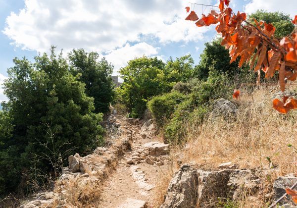 שמורות טבע בצפון: כל מה שצריך לדעת לטיול משפחתי נעים
